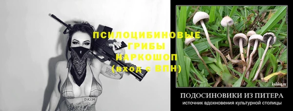 хмурый Арсеньев