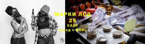 хмурый Арсеньев