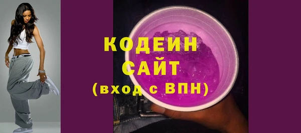 хмурый Арсеньев