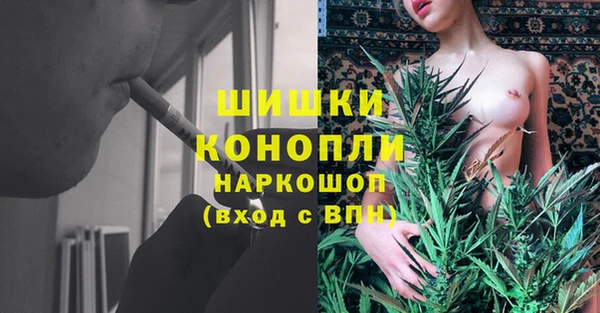 хмурый Арсеньев