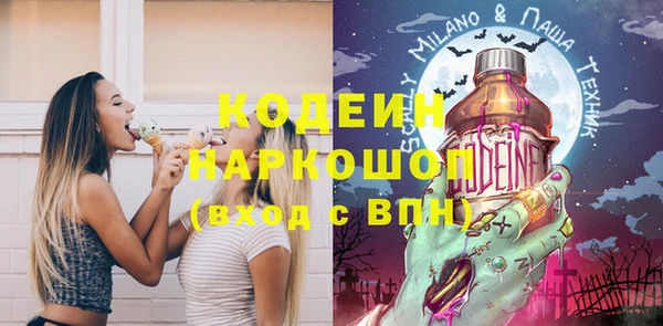 хмурый Арсеньев
