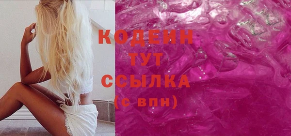 хмурый Арсеньев