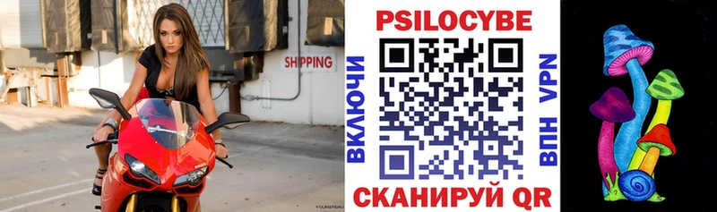 Псилоцибиновые грибы Psilocybe  сколько стоит  Пошехонье 