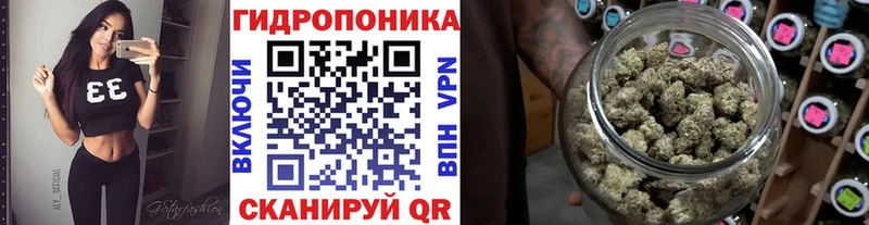 Канабис тримм  гидра ссылка  Пошехонье 